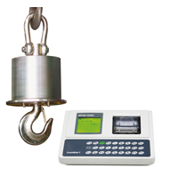 托利多（duō）電子吊秤