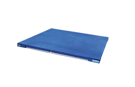 托利多電子平台秤儀（yí）表的安裝和維護（hù）